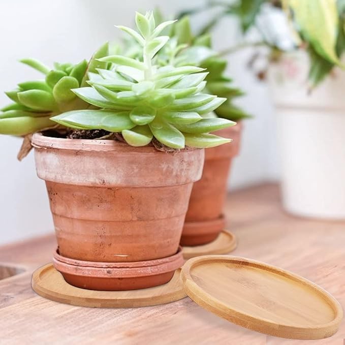 Round Bamboo Coasters For Planters